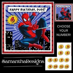 Spiderman Birthday Mini Kit