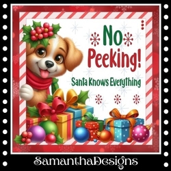 No Peeking Mini Kit