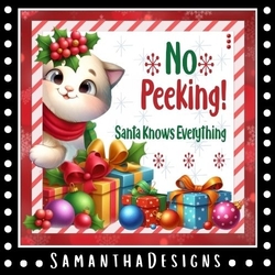 No Peeking Cat Mini Kit
