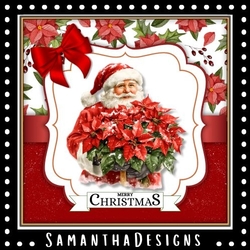Poinsettia Father Christmas Mini Kit