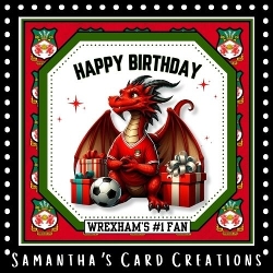 Wrexham AFC Dragon Mini Kit