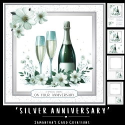 Silver Anniversary Mini Kit