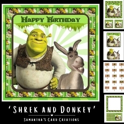 Shrek and Donkey Mini Kit