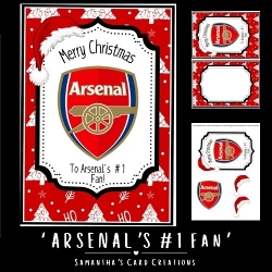 cup1395947_113795 - Arsenals #1 Fan Mini Kit