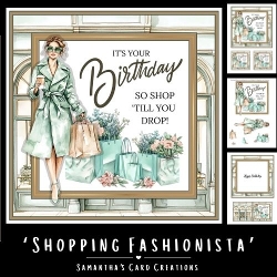 Shopping Fashionista Mini Kit