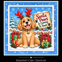 Santa Paws Mini Kit