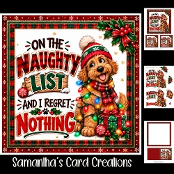 cup1472308_113795 - Naughty List Mini Kit