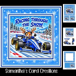 Racing Through The Snow Mini Kit