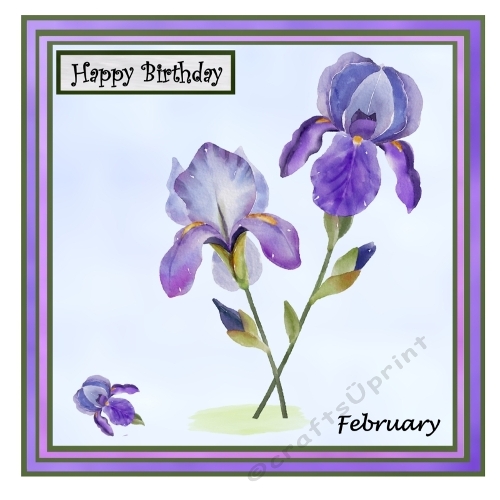 Birthday Flowers - February