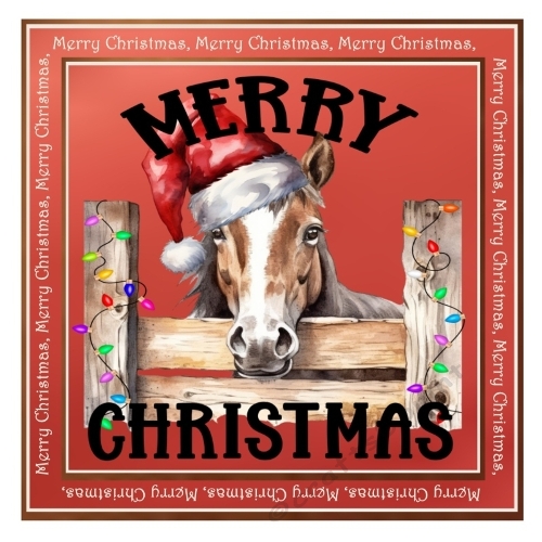 Merry Christmas