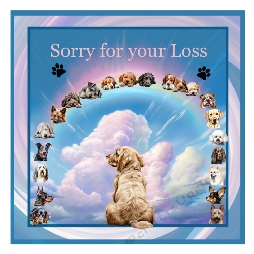 Loss of Dog