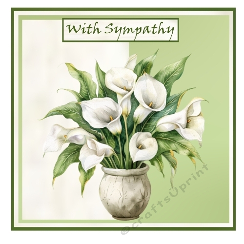 Sympathy Callas