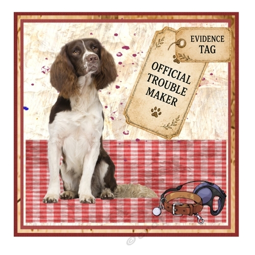 Trouble Maker - Spaniel