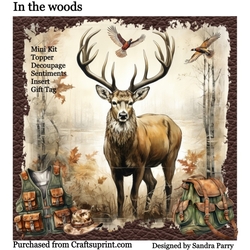 In the woods