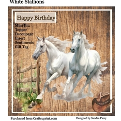 White Stallions
