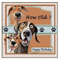 How Old