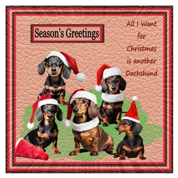 All I Want For Christmas