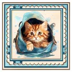 Kitten Blues