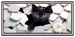 Cute Black Cat