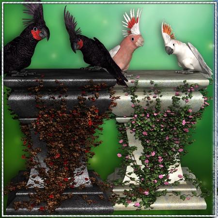 Fairy Pedestals Ii