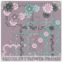 Succulent Flower Frames