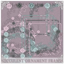 Succulent Ornamental Frames