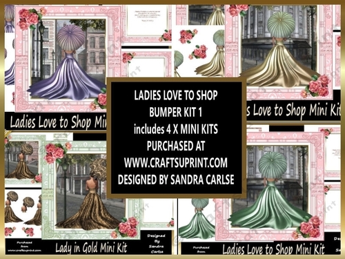 Ladies Love to Shop 4 x Mini Kits