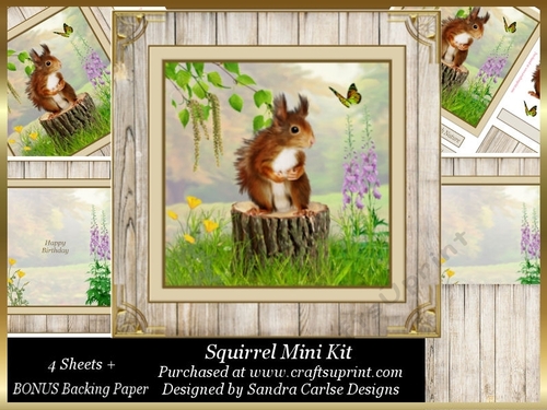 Squirrel Decoupage 8x8ins Mini Kit 