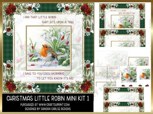 Christmas Little Robin 8x8ins Mini Kit 1