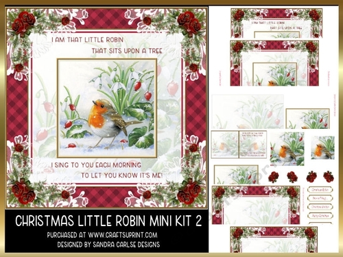 Christmas Little Robin 8x8ins Mini Kit 2