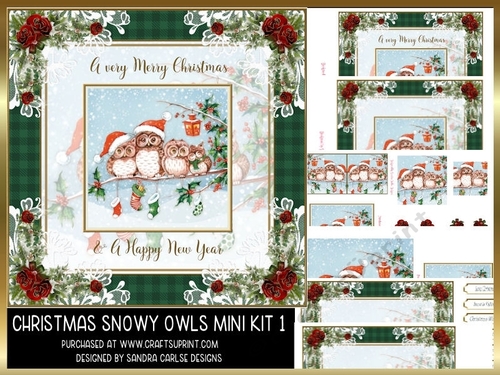 Christmas Snowy Vintage Owls 8x8ins Mini Kit 1