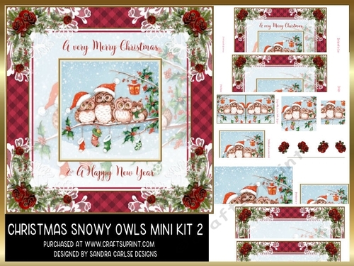 Christmas Snowy Vintage Owls 8x8ins Mini Kit 2