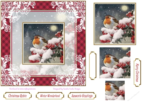 Red Christmas Robin Pyramid 7x7ins Topper 1