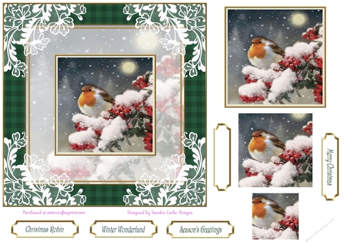Red Christmas Robin Pyramid 7x7ins Topper 2
