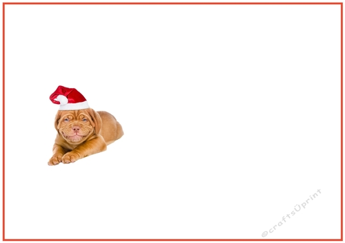 Christmas Party Dog Insert to match cup1086989_719