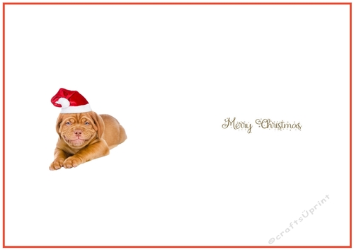 Christmas Party Dog Insert 1 to match cup1086989_719