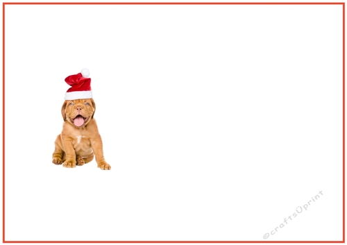 Christmas Party Dog Insert to match cup1086990_719