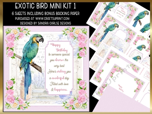 Exotic Bird Decoupage Mini Kit 1