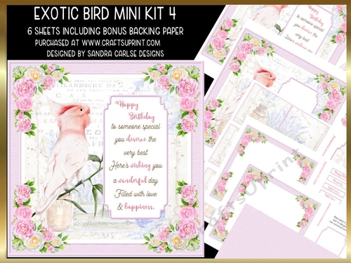 Exotic Bird Decoupage Mini Kit 4