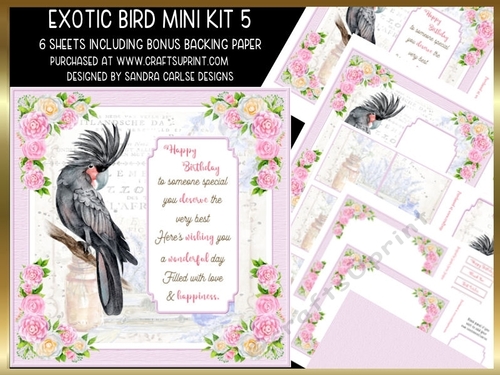 Exotic Bird Decoupage Mini Kit 5