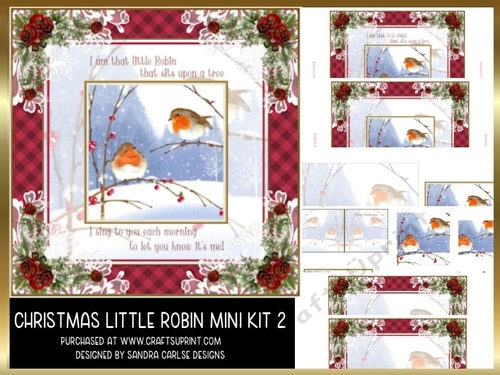 Christmas Vintage Robin Vintage Mini Kit 2