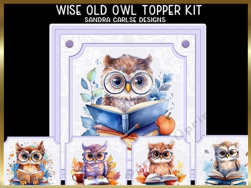 Wise Old Owl 7x7ins x 5 Topper kit