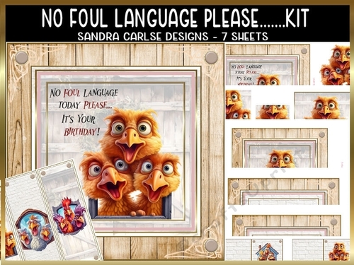 No Foul Language Please birthday 7x7ins kit with bookmarks