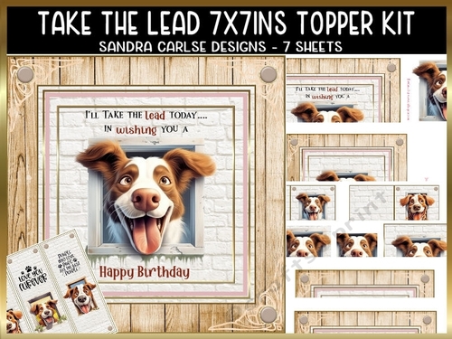 Take the lead 7x7ins kit with bookmarks