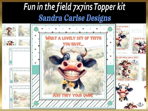 Fun in the field 7x7ins topper kit 