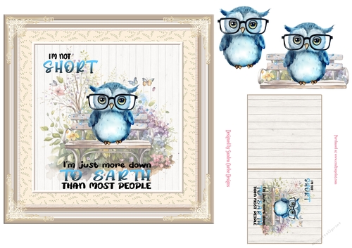Funny owl decoupage 7x7ins topper 1 - REQUEST