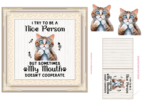 Funny cat decoupage 7x7ins topper 1 - REQUEST