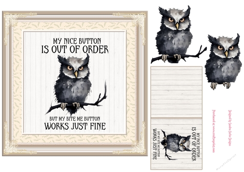 Funny owl decoupage 7x7ins topper 2 - REQUEST