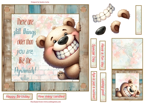 Fun bear 7x7ins decoupage topper