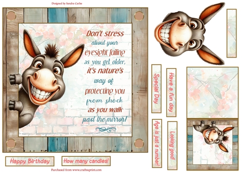Fun donkey 7x7ins decoupage topper